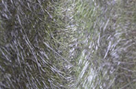 Achina fibreglass roof work